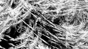 Стробоскоп №6. Быстрый. Черно-белый, узорный, горизонтальный.