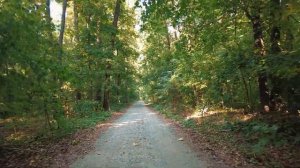 Активная медитация "Возвращение в реальность"