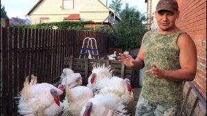 Чего ни в коем случае нельзя делать с индюками Биг6 и Хайбрид Конвертер (тяжелыми кроссами).