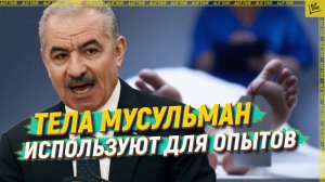 Тела мусульман используют для опытов в лабораториях (1).mp4