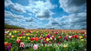 душа моя как птица