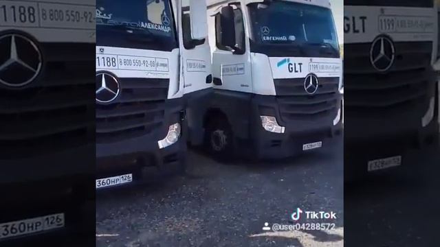 Вот такие красавцы в парке GLT! смотреть онлайн