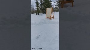 Результаты отстрела патронов, пыжи от винной пробки.