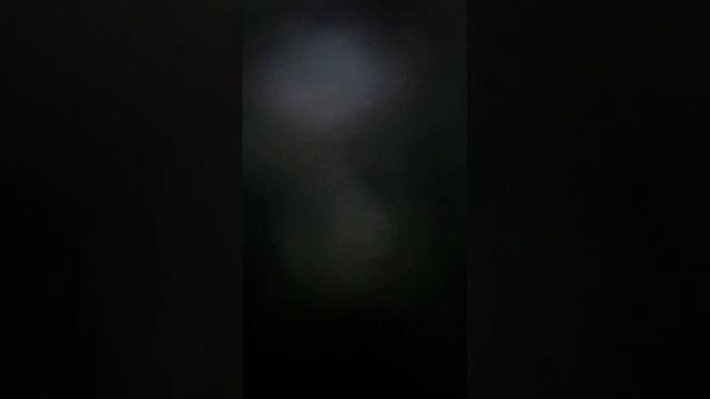 3 ноября 2023 г.