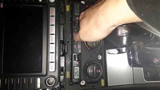 Passat b6 probleme mit climatronic смотреть онлайн