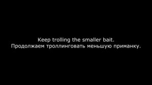 Big vs small. Fishing: pike attack dead bait underwater. Рыбалка: aтака щуки подводой.