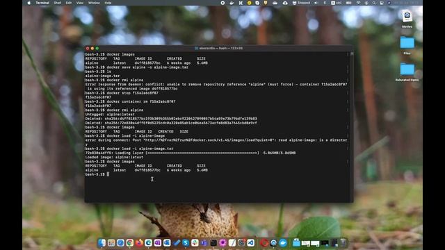Команды docker save/load, docker export/import. В чем отличие, как и когда ими пользоваться смотреть онлайн