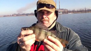 рыбалка в Донецкой области весной на спиннинг. Окунь на Старобешево.