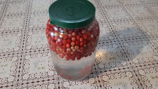 Брусничный напиток. Простой рецепт вкусного напитка.