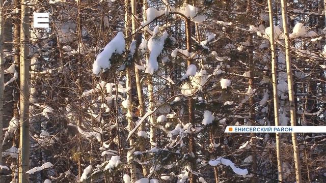 На севере края запустили движение по автозимнику до поселка Новоназимово