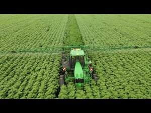 Обработка посевов подсолнечника.