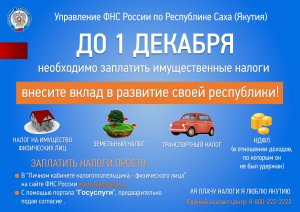 Заплатить налоги до 1 декабря