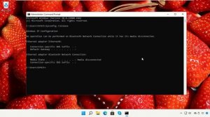 DNS_PROBE_FINISHED_BAD_CONFIG Windows 11, исправленный в Google Chrome | Как исправить ошибку DNS