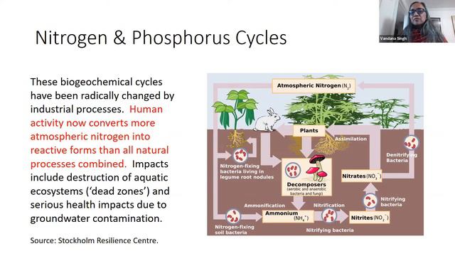 "The Unraveling of the World: What Climate Change Has to Teach Us" by Dr. Vandana Singh смотреть онлайн