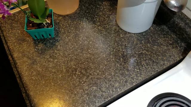 Plant Nutrition - Macronutrients Part 1 смотреть онлайн