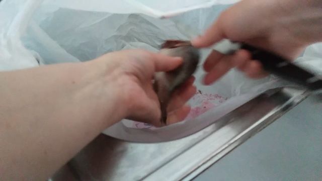 Как почистить рыбку дома чтобы чешуя не разлеталась смотреть онлайн