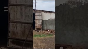 Участок продажа в Ставропольском крае, Кочубеевский муниципальный округ, село Заветное.