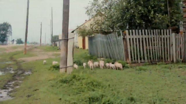 НАЙДЕНЫ ВНЕБРАЧНЫЕ ДЕТИ НИКИТЫ ГРИДИНА (КУЗЬМА)! смотреть онлайн