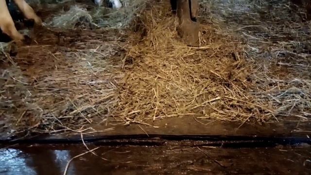 Бюджетный сарай за 60 000 тысяч из шпалы.