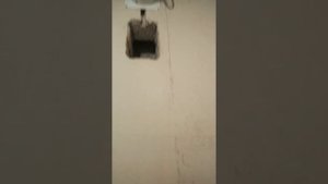 Вентиляция в туалете и ванной.