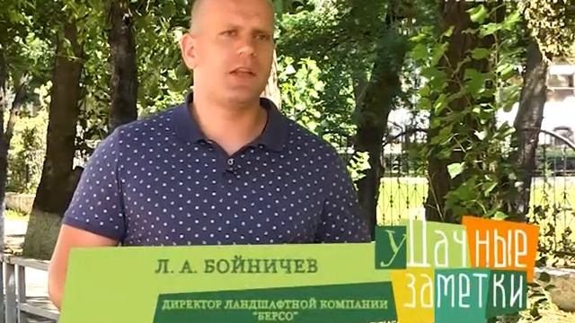 Удачные заметки. Озеленение городских территорий смотреть онлайн