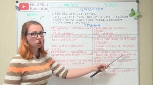 Митоз и мейоз: сходства и отличия