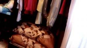 Видео с веб-камеры. Дата: 5 июня 2013 г., 10:41.