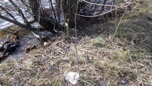НАШЁЛ ТРУП В РЕКЕ