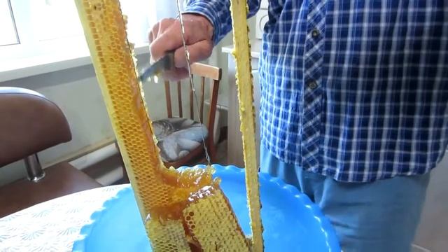 Самый вкусный и полезный мёд (мой) смотреть онлайн