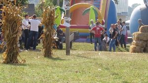 ГОНКИ НА МОТОБЛОКАХ