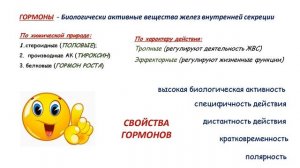 Регуляция функций организма человека 8 класс Биология