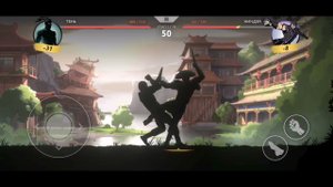 shadowfightshades_драка_спризраком