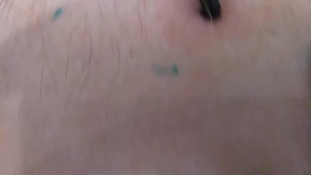 Пиявки кушают. смотреть онлайн