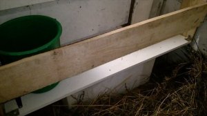 ЧТО с нашей КОРОВОЙ? Почему не ТЕЛИТСЯ?