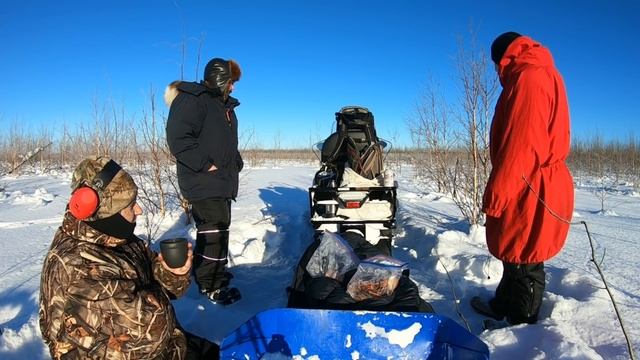 2020-21 Alaska Wolf Trapping #9: Mid Feb, More Snares set, VK 540, Nytro смотреть онлайн