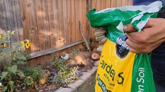 Plantemos PLANTAS CON FLORES resistentes a mucho sol y calor смотреть онлайн