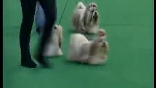 лучш произв 3ON LINE смотреть онлайн