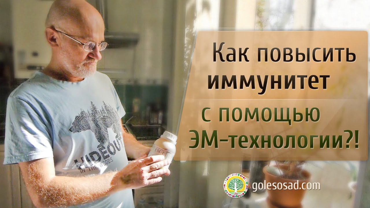 КАК ПОВЫСИТЬ ИММУНИТЕТ С ПОМОЩЬЮ ЭМ-ТЕХНОЛОГИИ?!