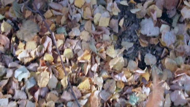 База отдыха Светлячок, пос. Увильды смотреть онлайн