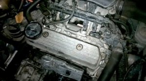 Стук гидрокомпенсаторов Фабия