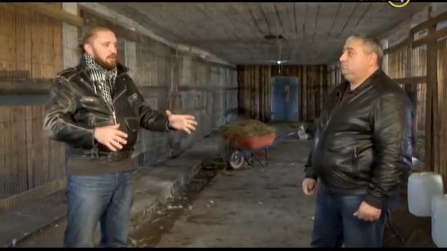 19.12.16 «Своя ферма». Страусы