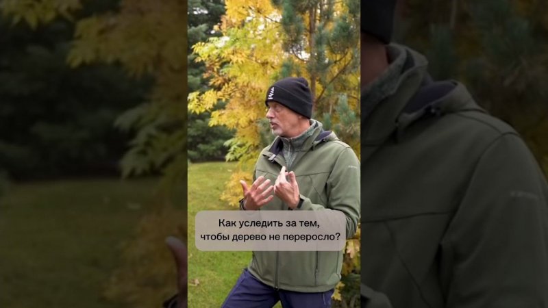 Как уследить за тем, чтобы дерево не переросло? #бонсай #bonsai #ниваки #андрейдарусенков #сад