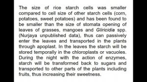 Тонкости подкормки крахмалом