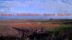 Бешеная мышь на рыбалке!