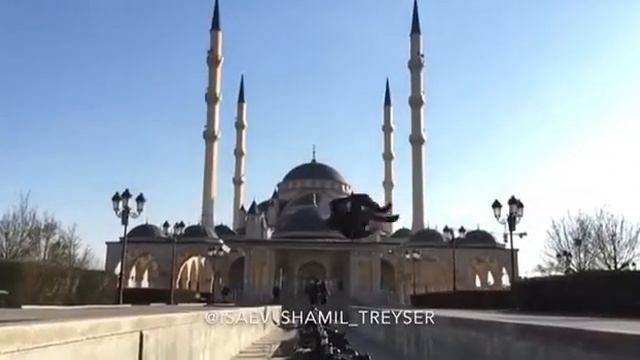 Боковое сальто! Грозный тренировки