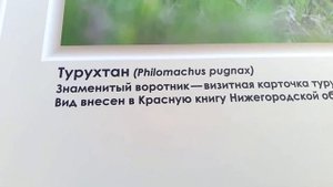 ФОТОВЫСТАВКА АРТЁМОВСКИЕ ЛУГА. Нижний Новгород. Часть первая.