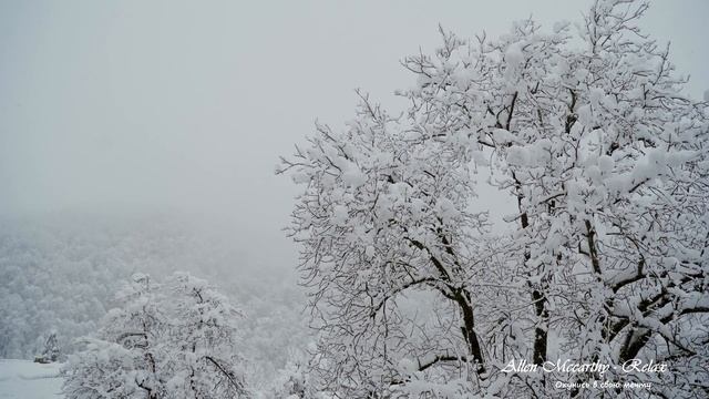 Зимние сказки ❄ Красивая зима ❄ Мягкое пианино ❄ Музыка зимы