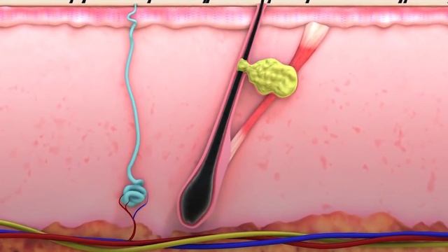 LR Microsilver Plus смотреть онлайн