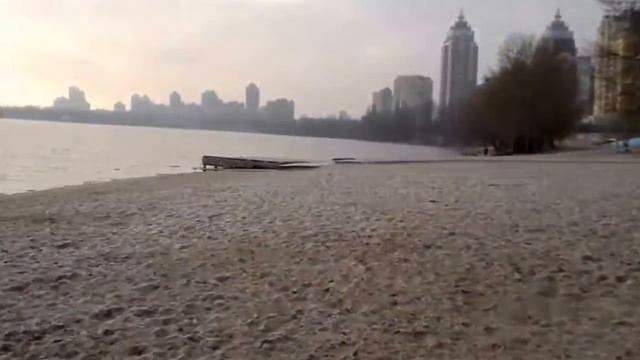 Хаски резвятся на берегу, наглая ворона, поздняя осень. смотреть онлайн