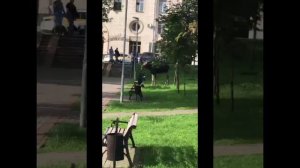 В центре Москвы заметили лося